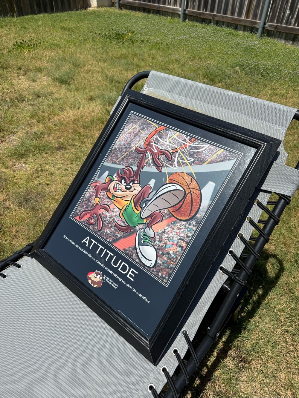 1998 Looney Tunes Taz 'Attitude' Basketball Framed Art Print